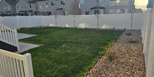 Lush backyard with varied plants and hardscaping