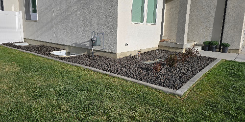 Lush backyard with varied plants and hardscaping
