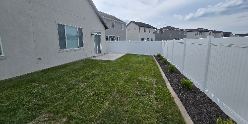 Lush backyard with varied plants and hardscaping