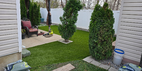 Lush backyard with varied plants and hardscaping