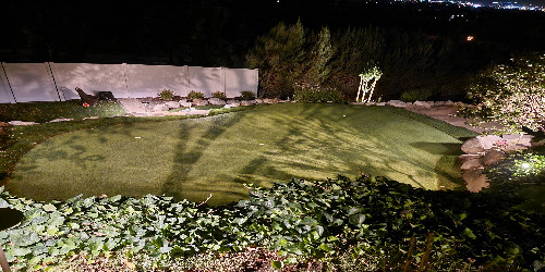 Garden lights highlighting trees and shrubs