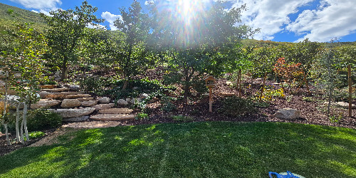 Patio with a lush green border